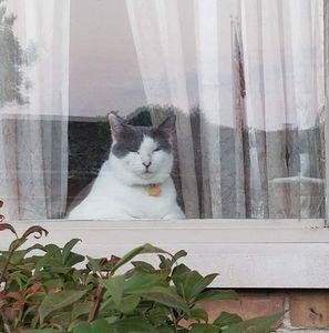 Meet your Posher, Robert